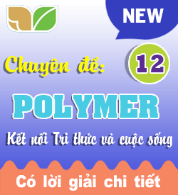 Polymer (KNTT_B1)